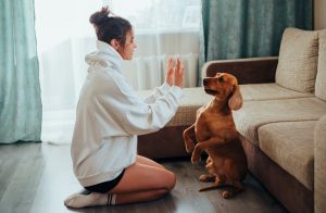 Pet Care: Quick Tips and Advice Every Pet Owners Should Know