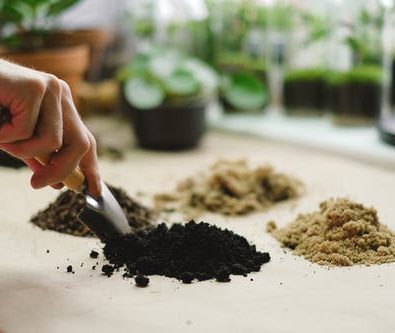 Understanding Different Cannabis Products