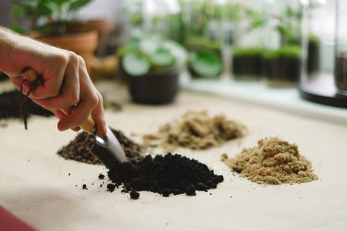 Understanding Different Cannabis Products