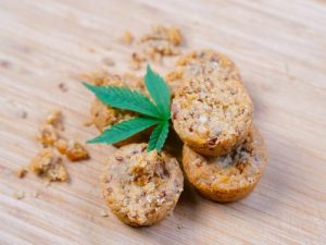 Read more about the article CBD Edibles vs. Oil: Which Works Best for Me?