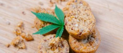 CBD Edibles vs. Oil: Which Works Best for Me?