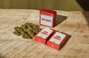 Marijuana Accessories Used for Consumption