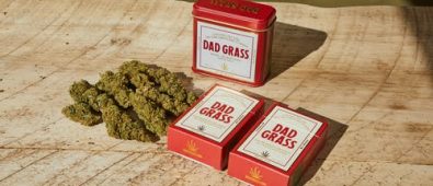 Marijuana Accessories Used for Consumption