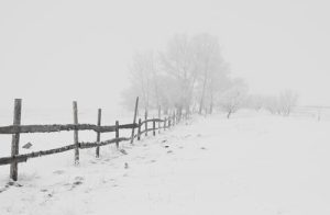 What Benefits Do Automated Gates Provide to Your Home?