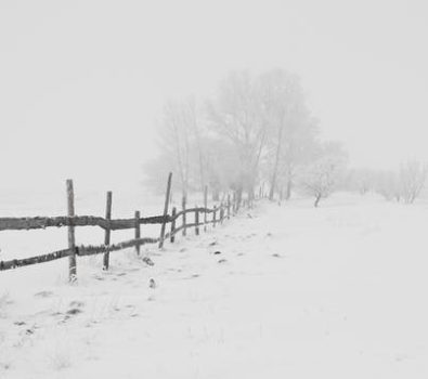 What Benefits Do Automated Gates Provide to Your Home?