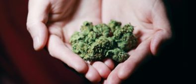 What Makes Online Weed Delivery the Preferred Choice?
