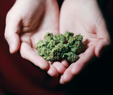 What Makes Online Weed Delivery the Preferred Choice?